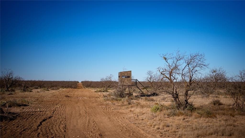1,280 acres in Concho County - photo 37