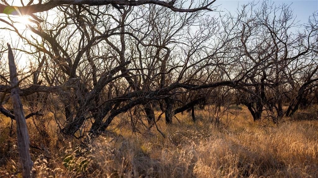 1,280 acres in Concho County - photo 22