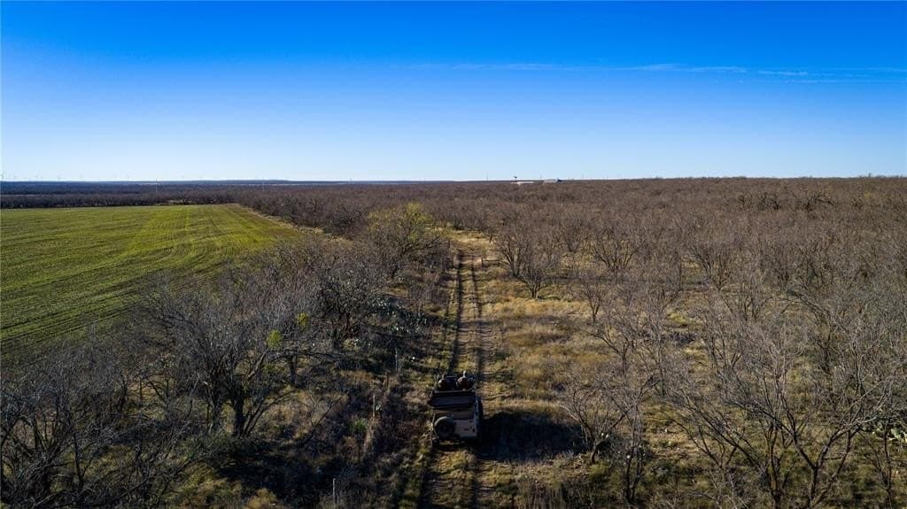 1,280 acres in Concho County - photo 12