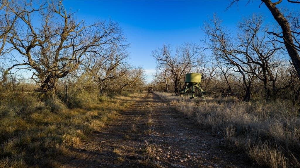 1,280 acres in Concho County - photo 17