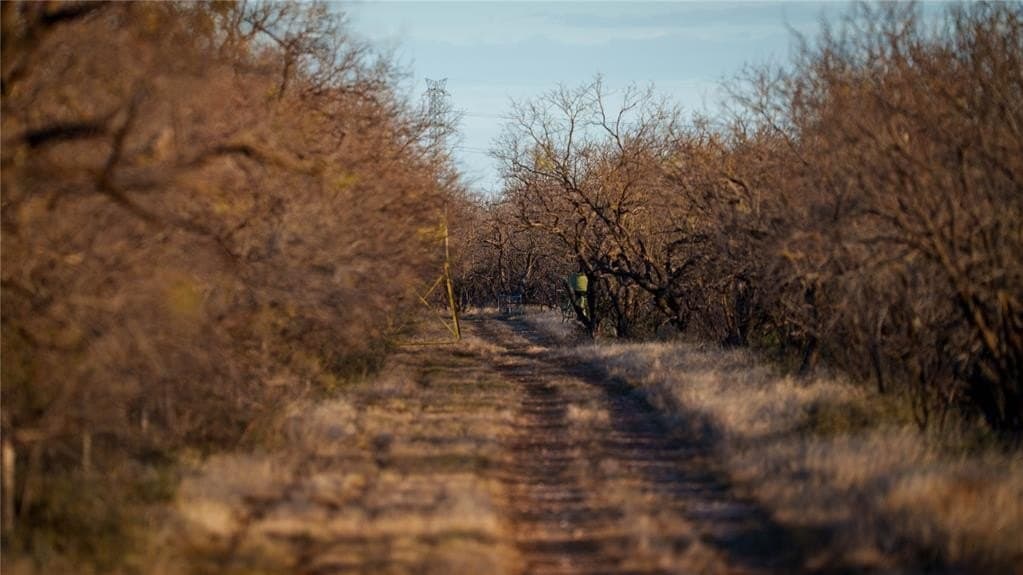 1,280 acres in Concho County - photo 18