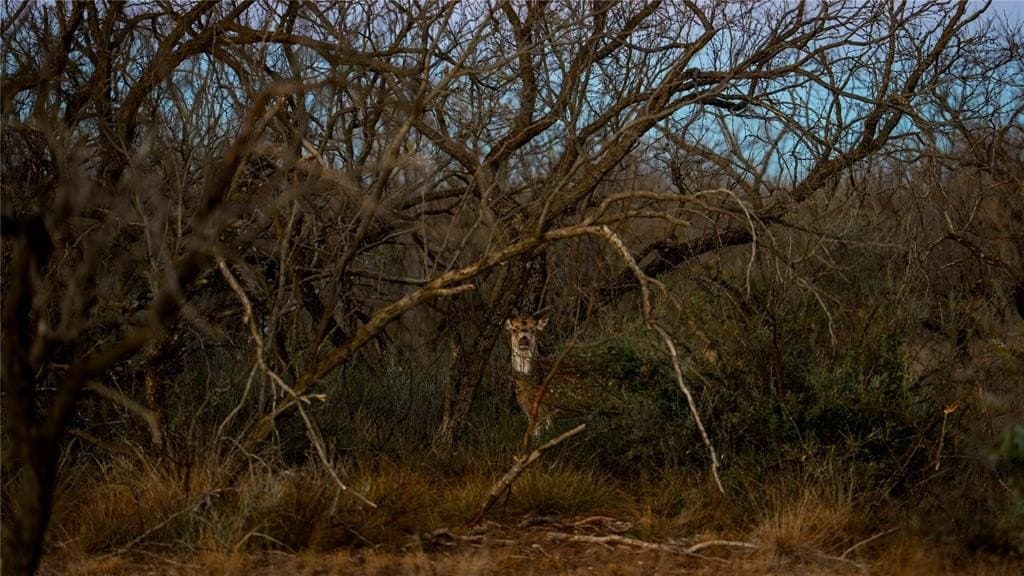 1,280 acres in Concho County - photo 33