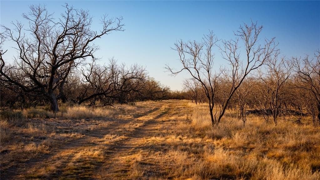 1,280 acres in Concho County - photo 40