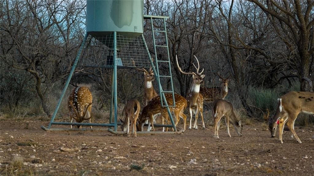 1,280 acres in Concho County - photo 6
