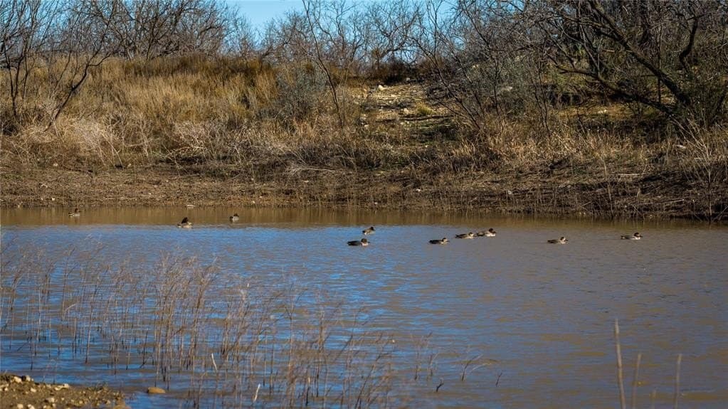 1,280 acres in Concho County - photo 27