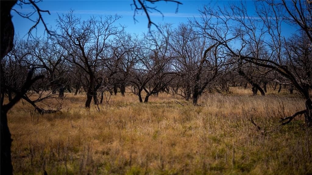 1,280 acres in Concho County - photo 25