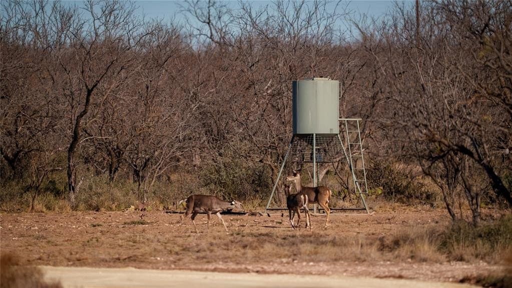 1,280 acres in Concho County - photo 38
