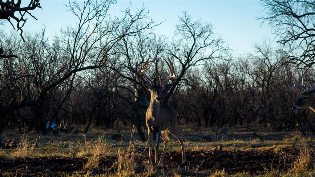 1,280 acres in Concho County - photo 16