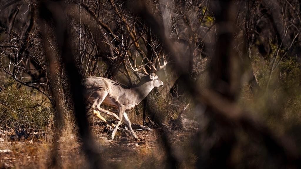 1,280 acres in Concho County - photo 5
