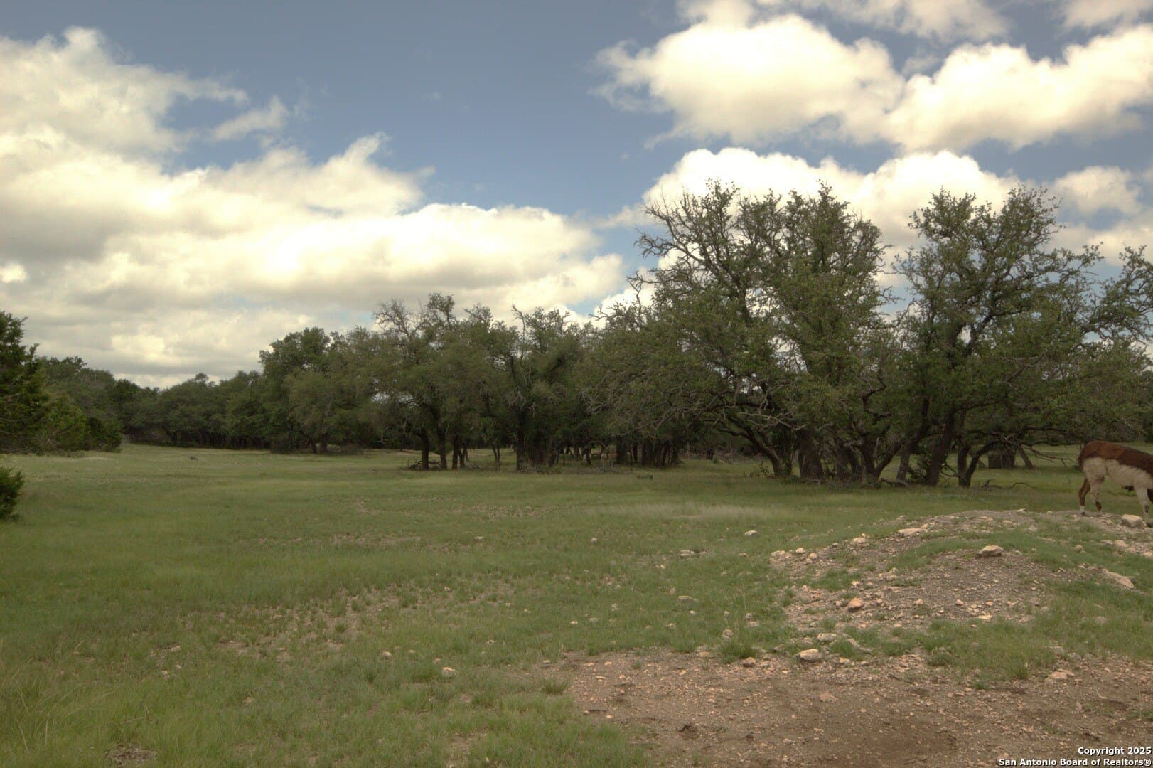 2,000 acres in Kerr County - photo 5