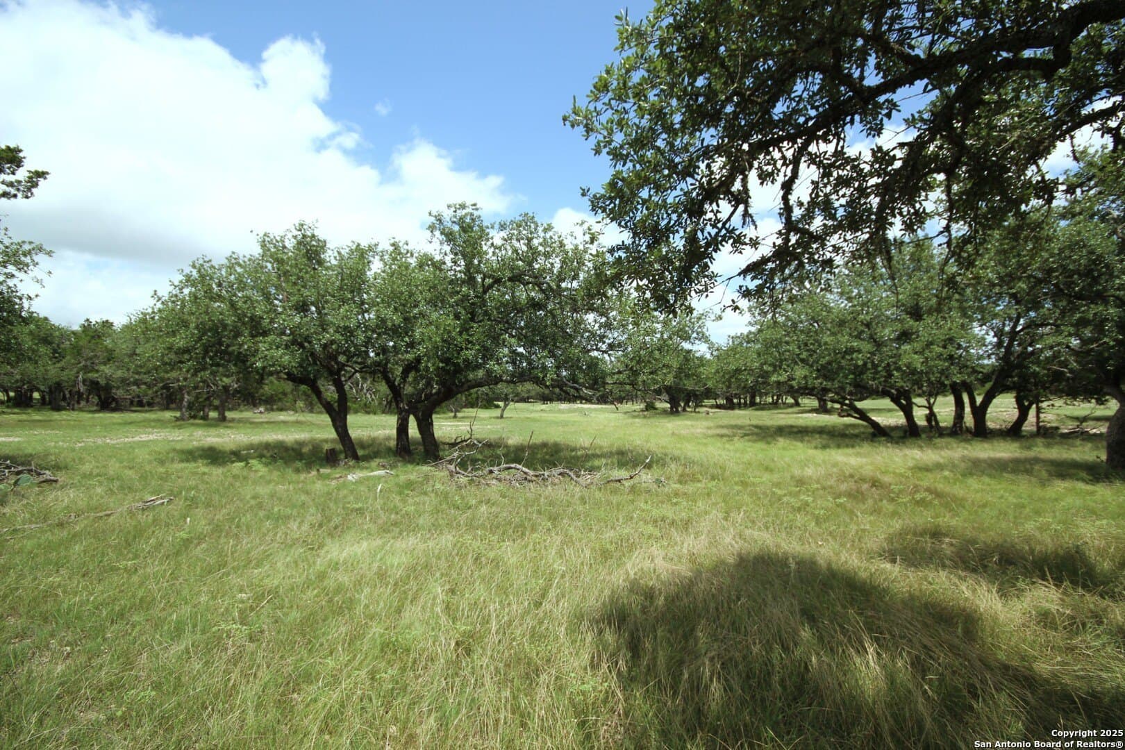 2,000 acres in Kerr County - photo 6