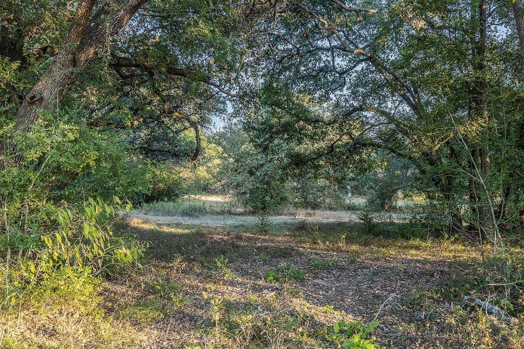 2.6 acres in Fayette County - photo 2