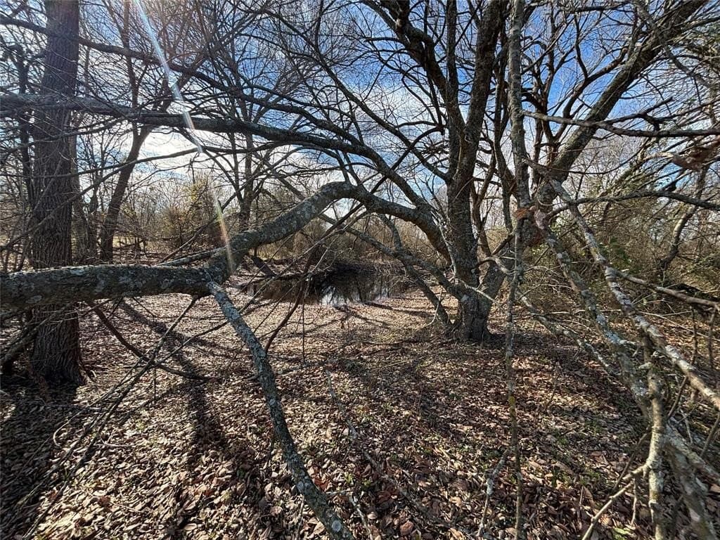 8.2 acres in Henderson County - photo 2