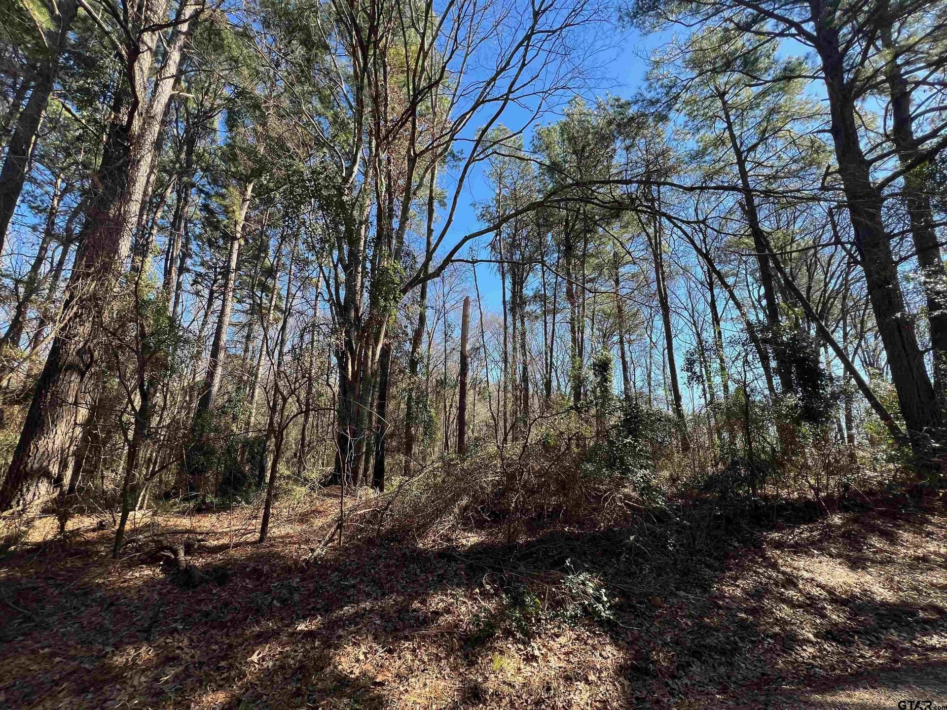 20 acres in Camp County - photo 2