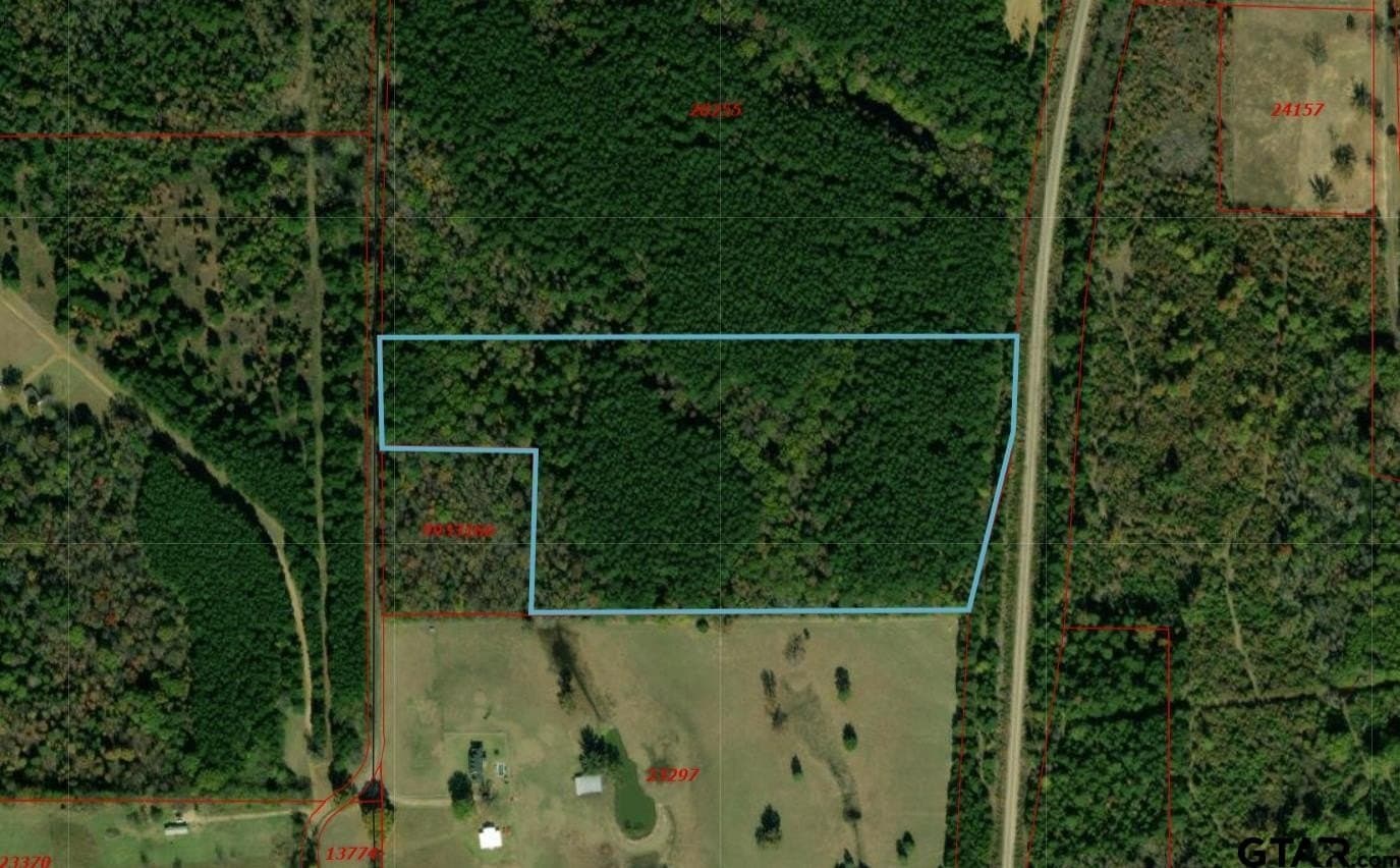 20 acres in Camp County - photo 3