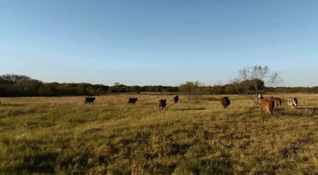 160.73 acres in Ellis County - photo 7