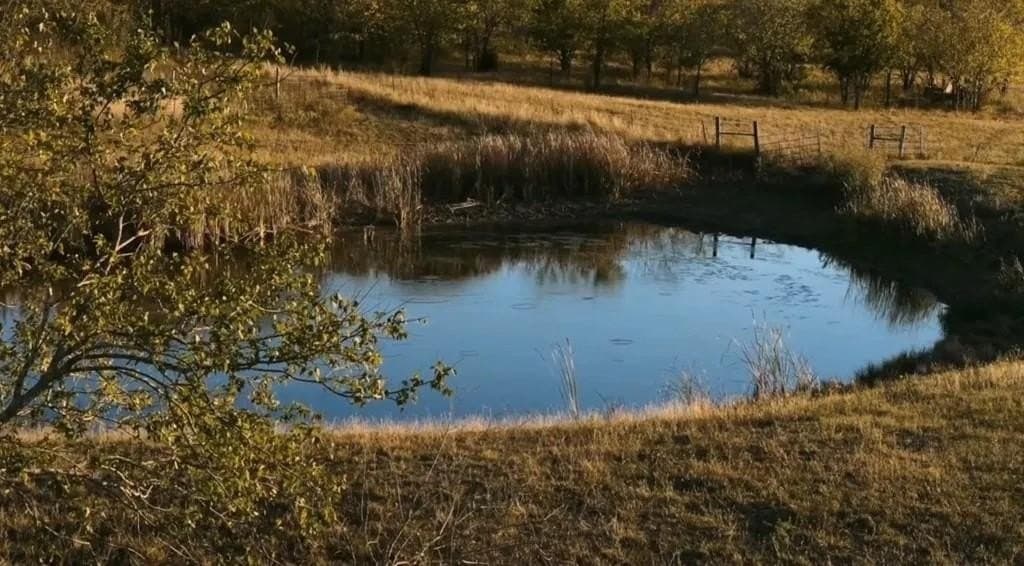 160.73 acres in Ellis County - photo 5