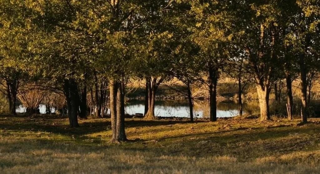 160.73 acres in Ellis County - photo 4