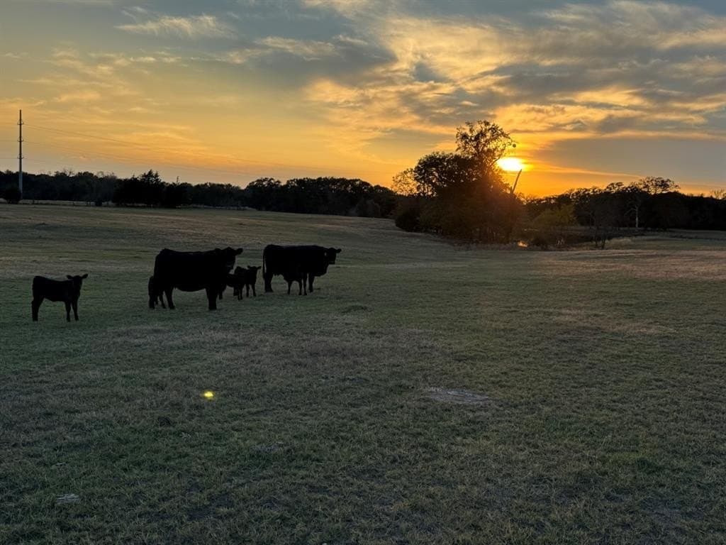 53.52 acres in Van Zandt County - photo 4