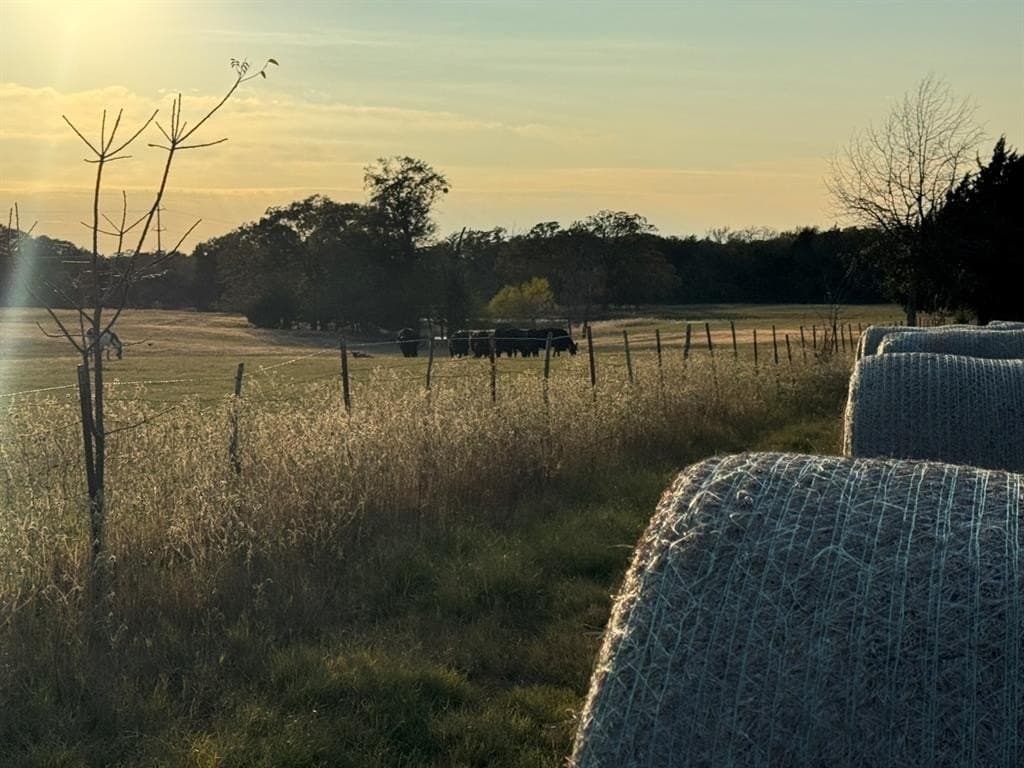 53.52 acres in Van Zandt County - photo 15