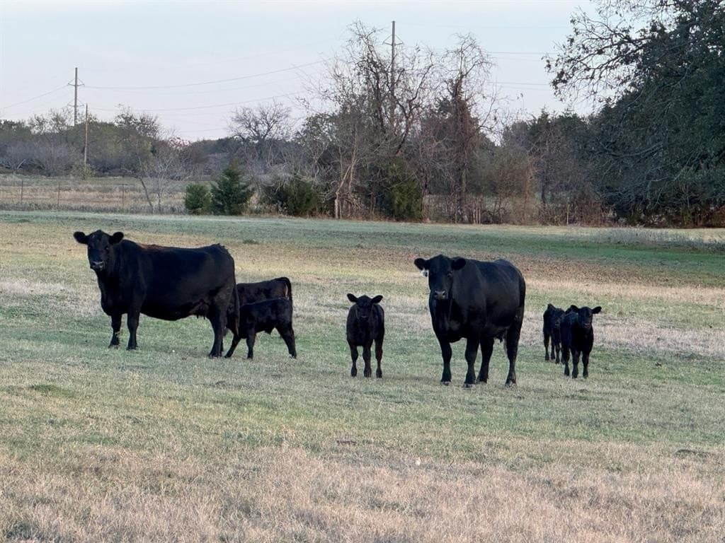 53.52 acres in Van Zandt County - photo 20