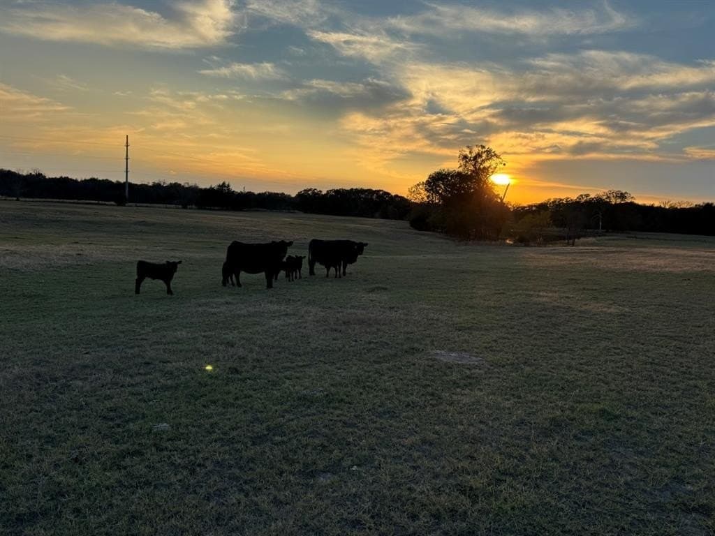 53.52 acres in Van Zandt County - photo 21