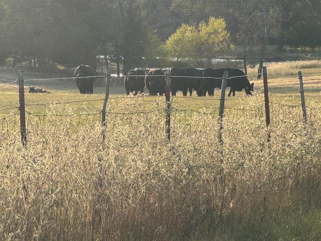 53.52 acres in Van Zandt County - photo 16