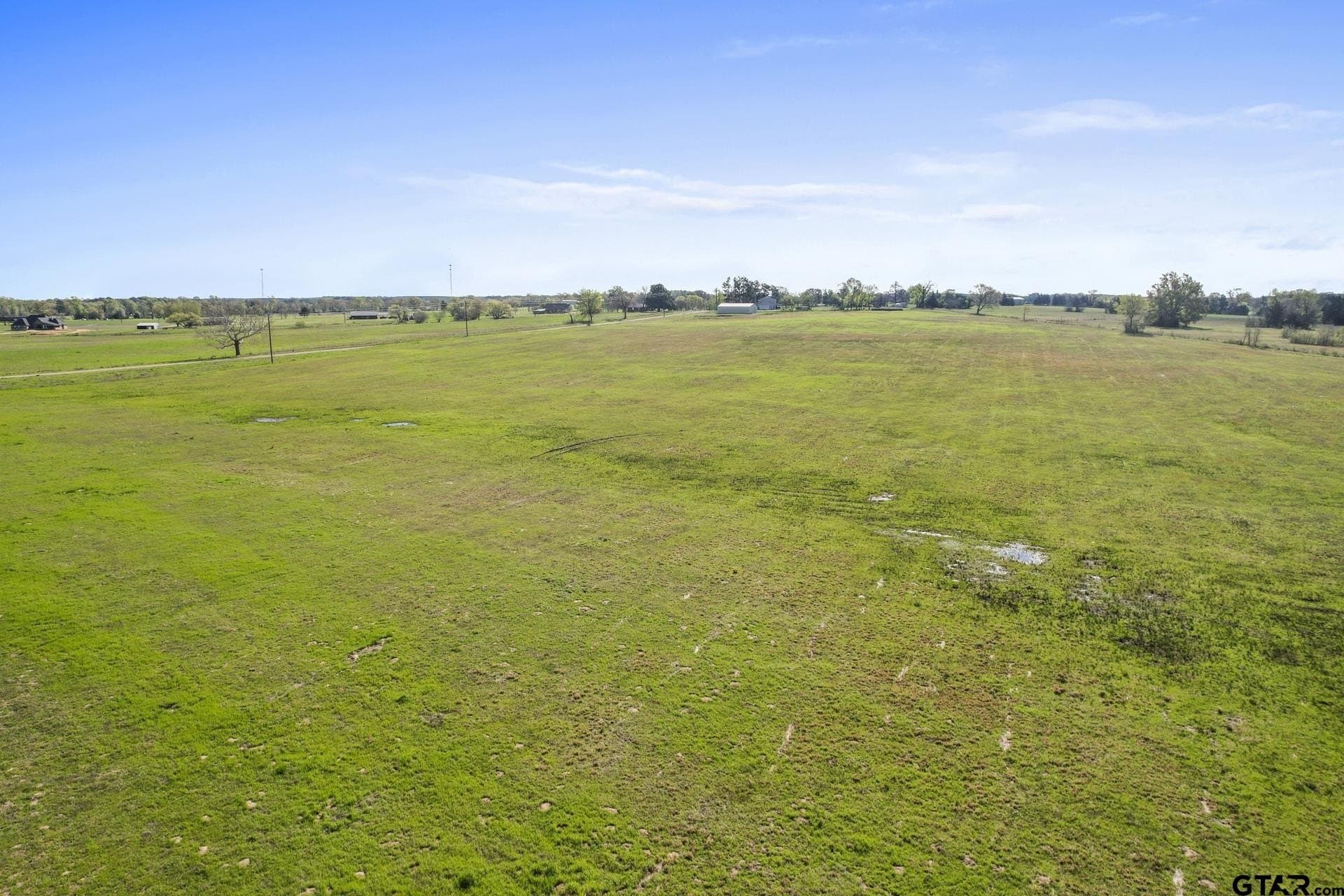 61.5 acres in Titus County - photo 15