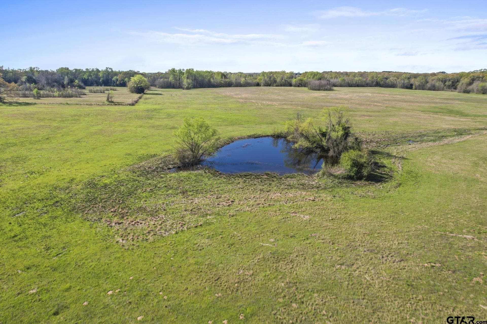 61.5 acres in Titus County - photo 13