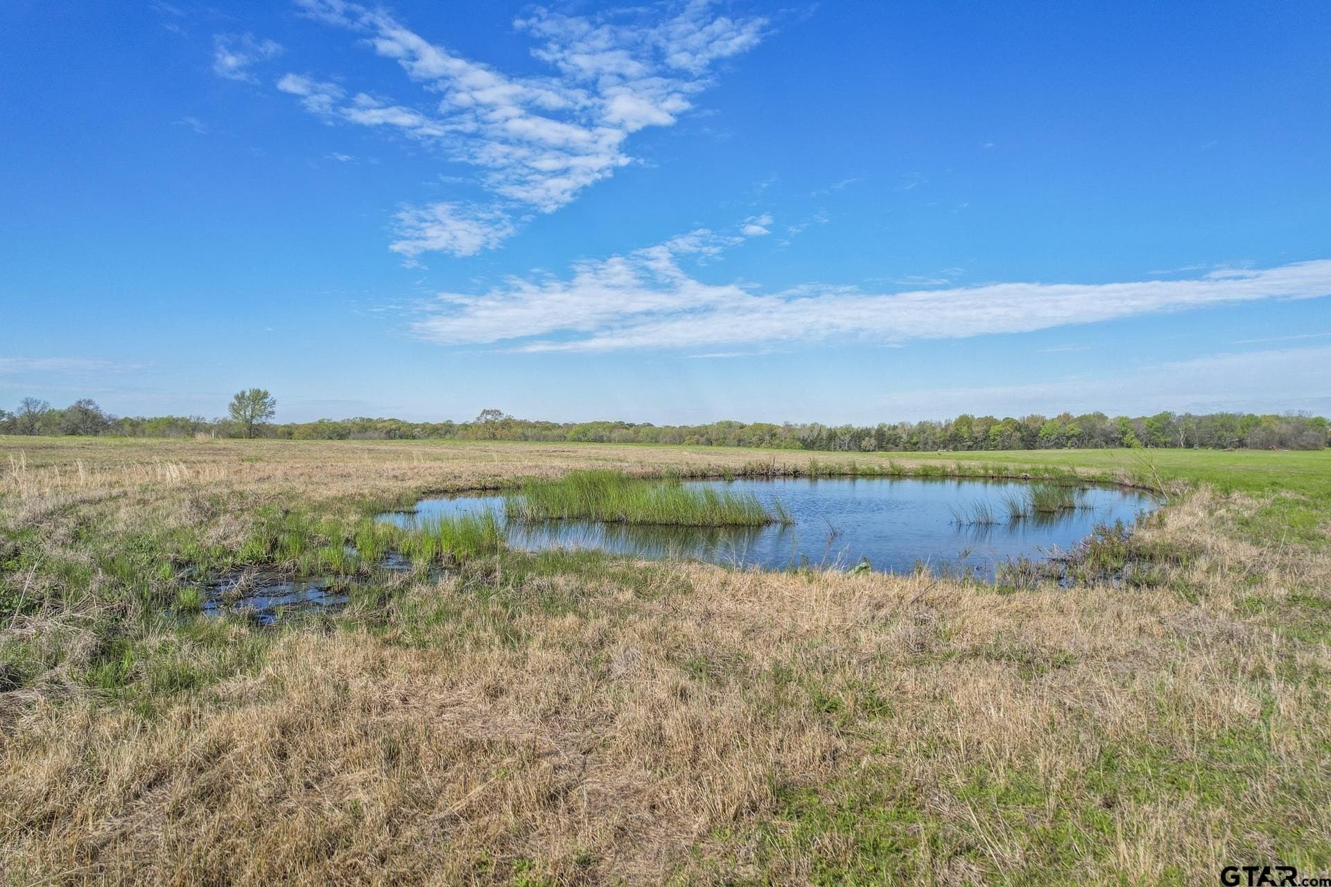 61.5 acres in Titus County - photo 11