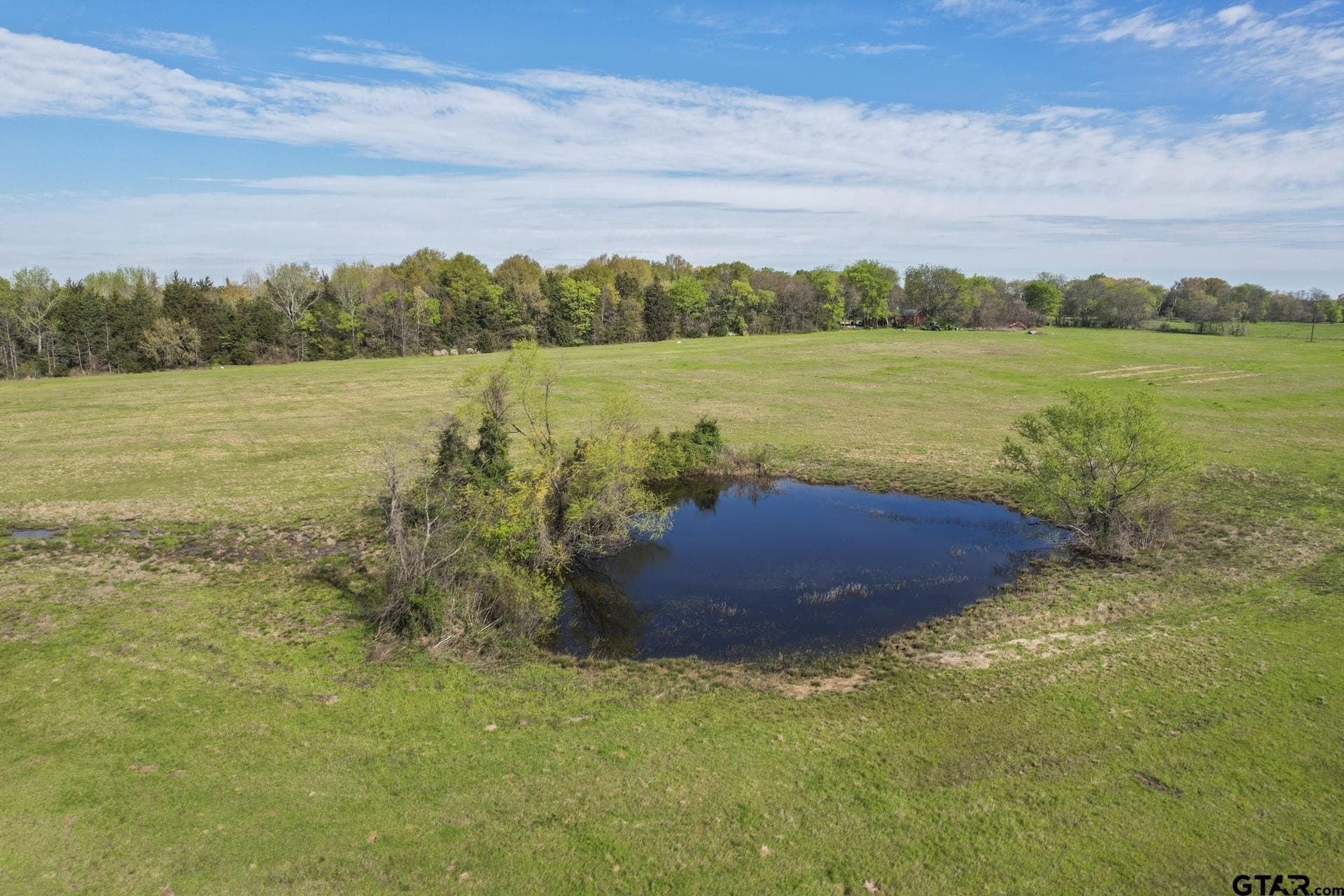 61.5 acres in Titus County - photo 14