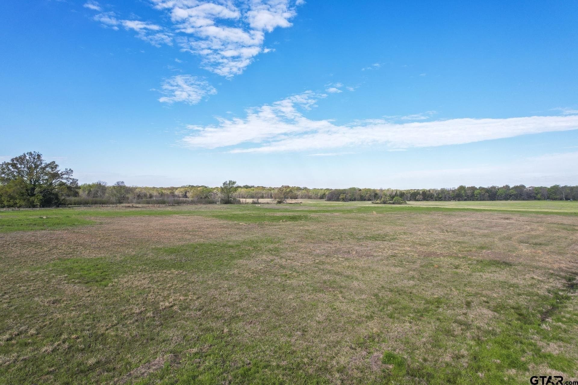 61.5 acres in Titus County - photo 8