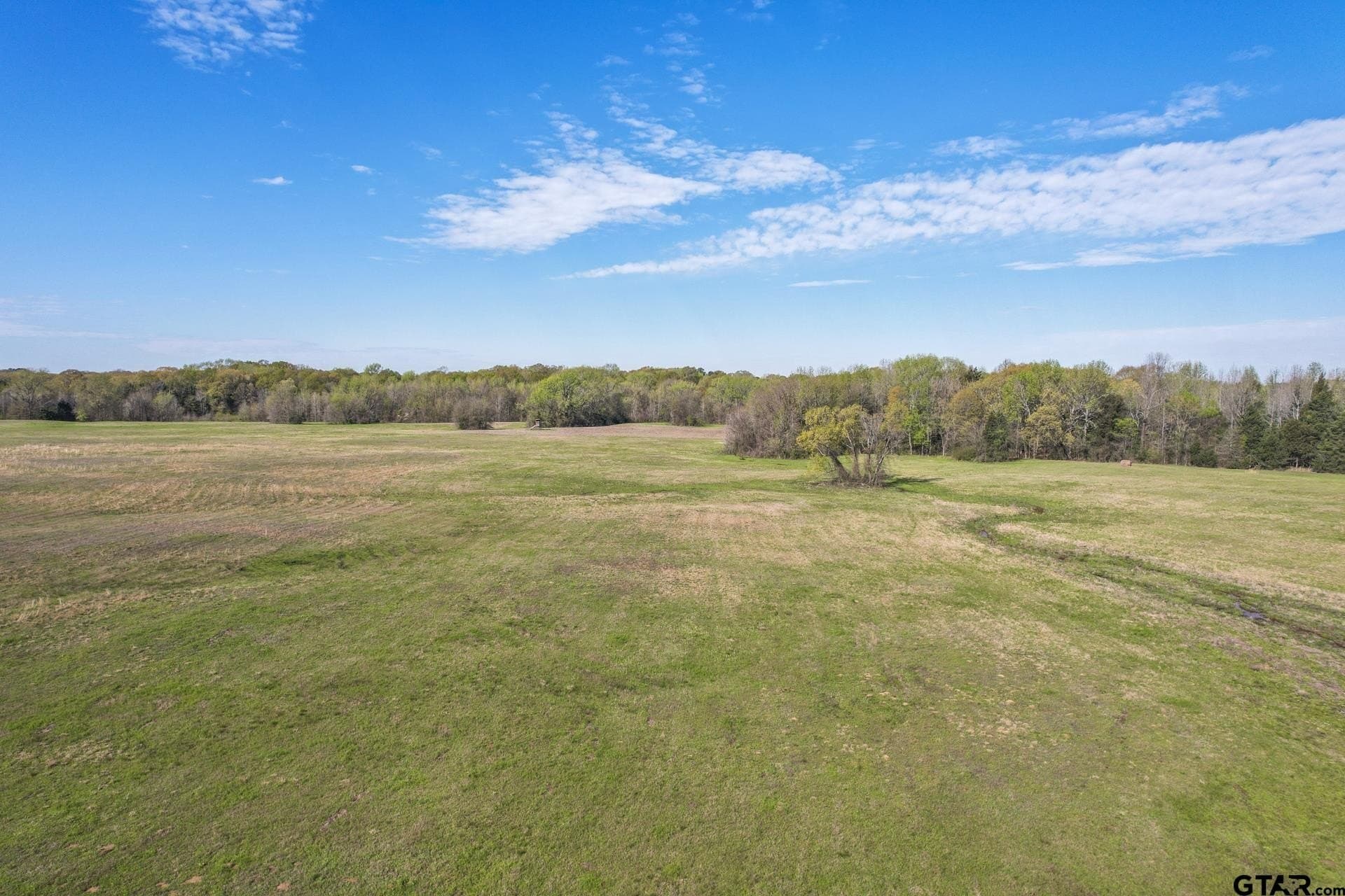 61.5 acres in Titus County - photo 10
