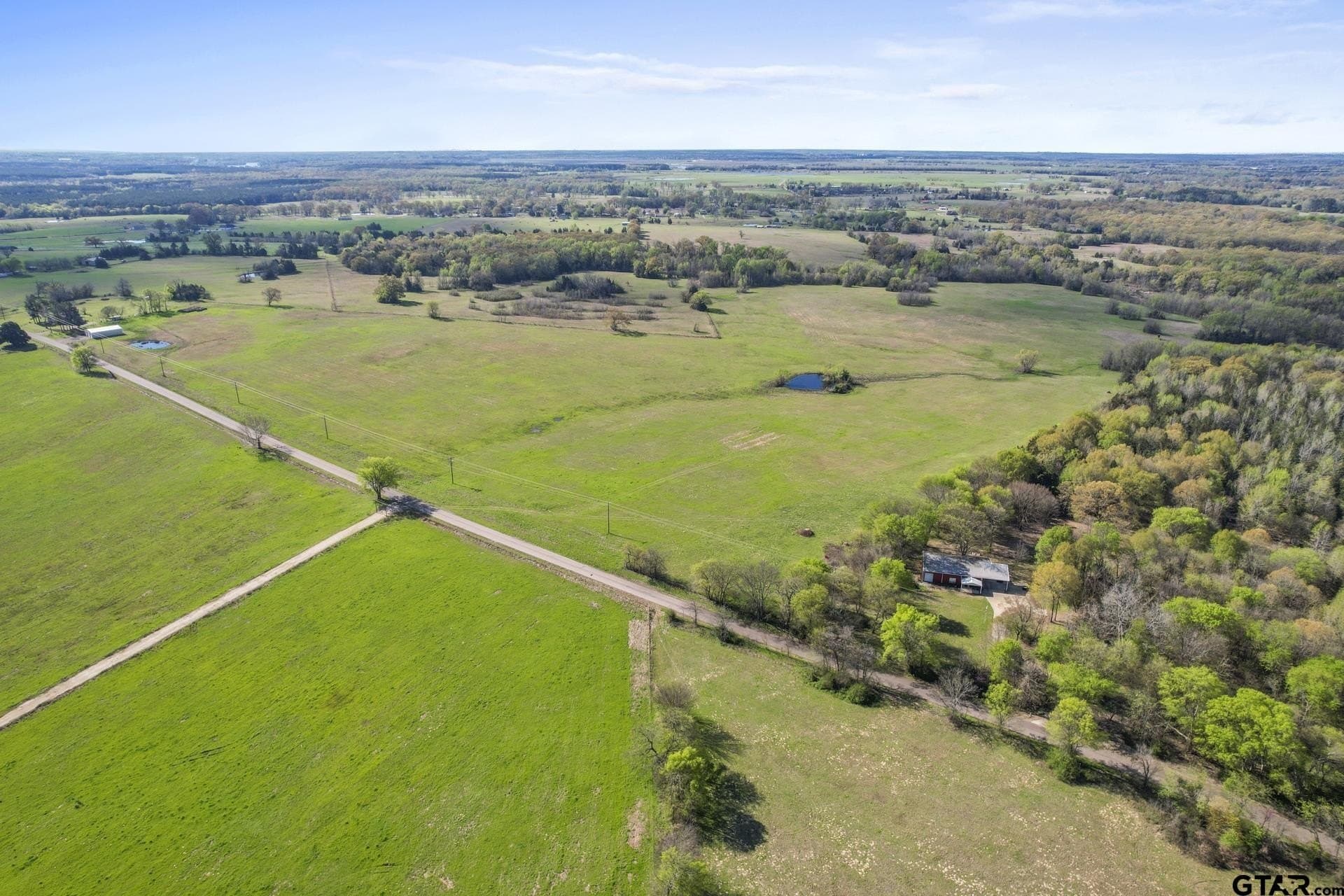 61.5 acres in Titus County - photo 5
