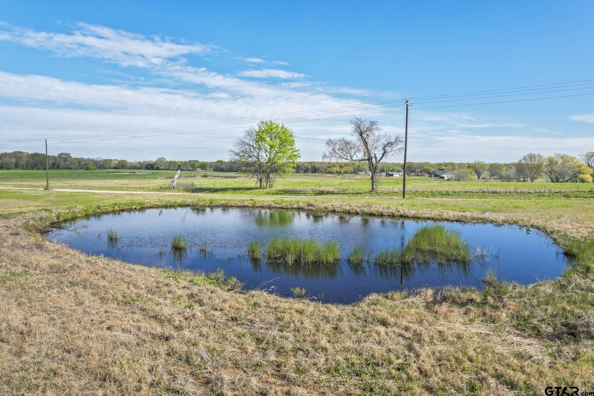 61.5 acres in Titus County - photo 4