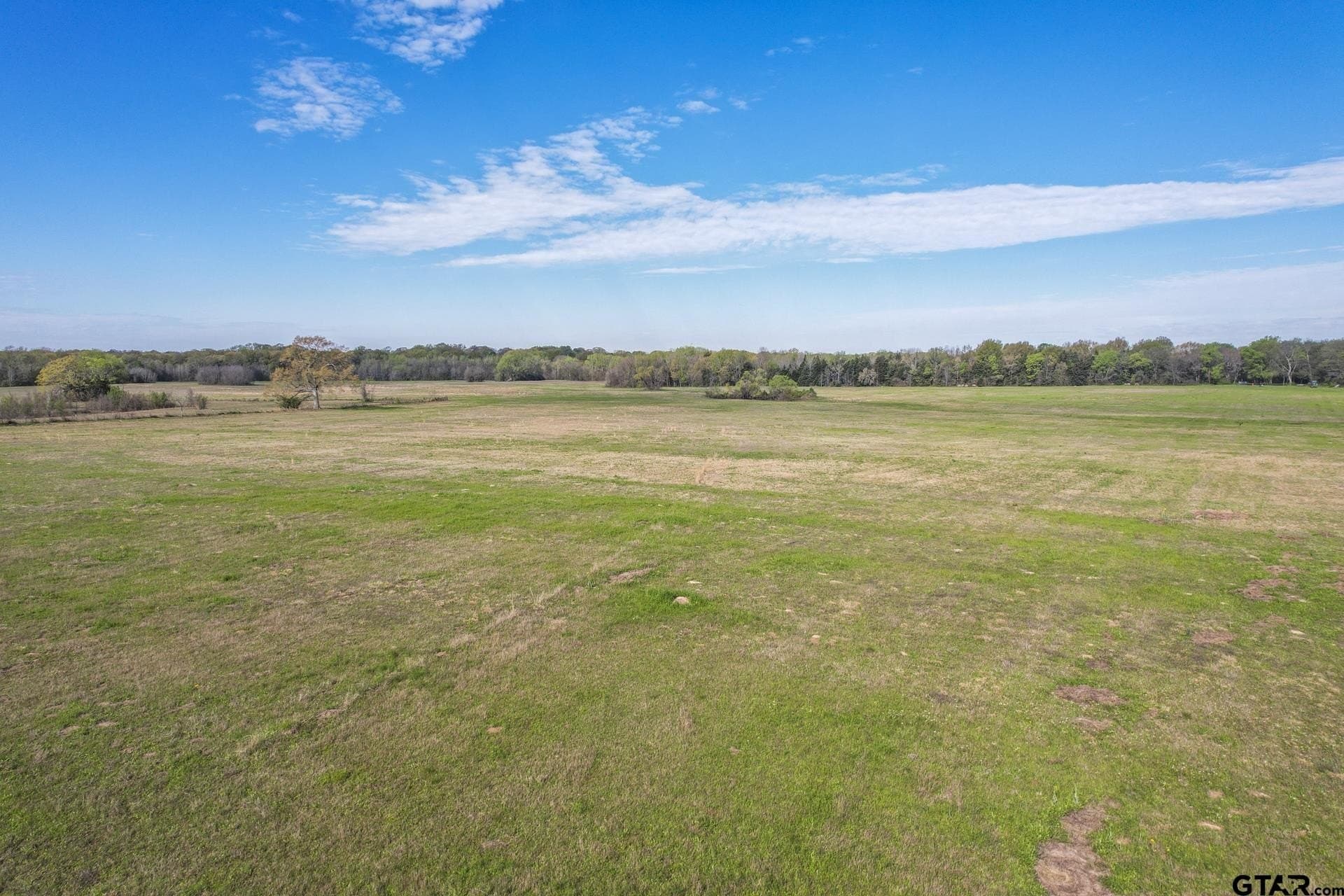 61.5 acres in Titus County - photo 9