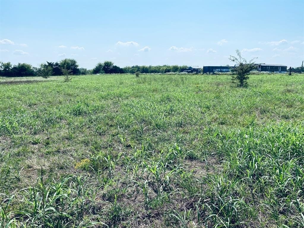 2.07 acres in Rains County - photo 6