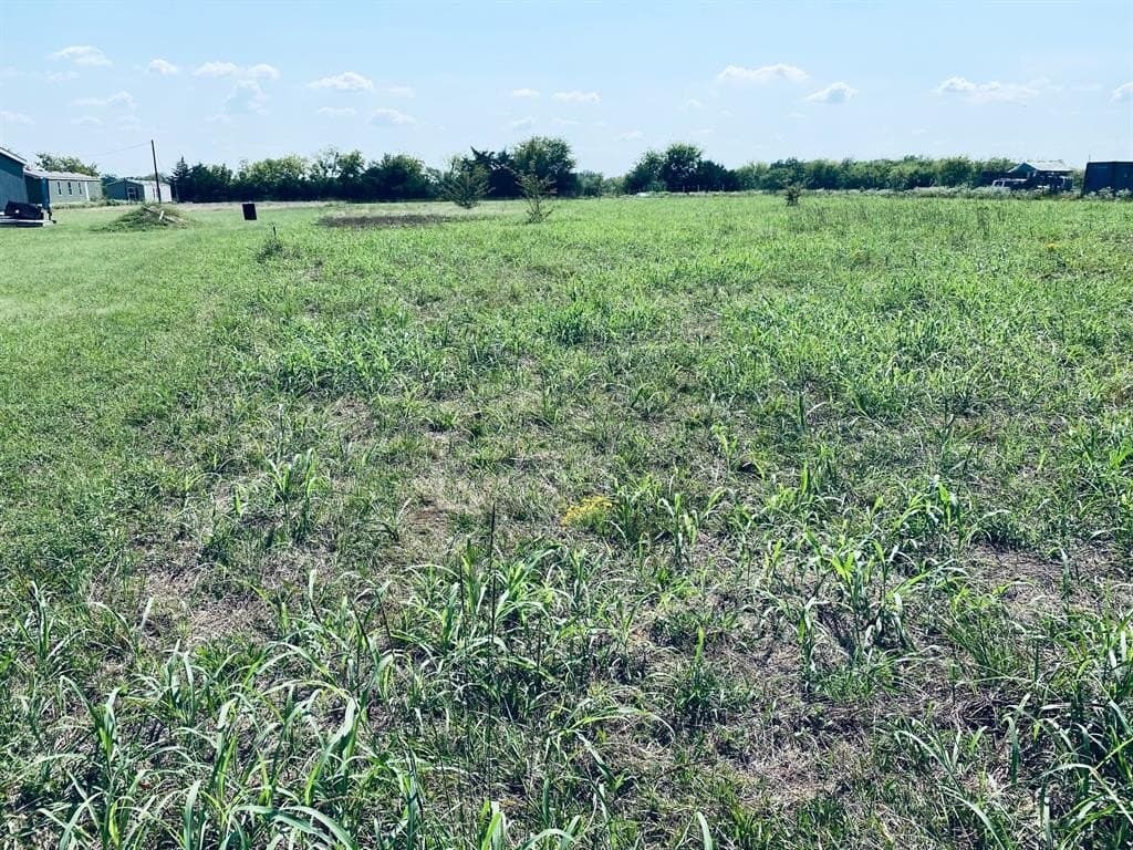 2.07 acres in Rains County - photo 5