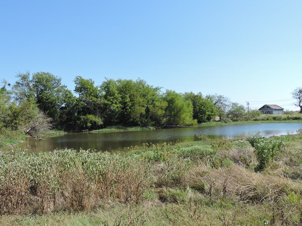 4.68 acres in Henderson County - photo 4