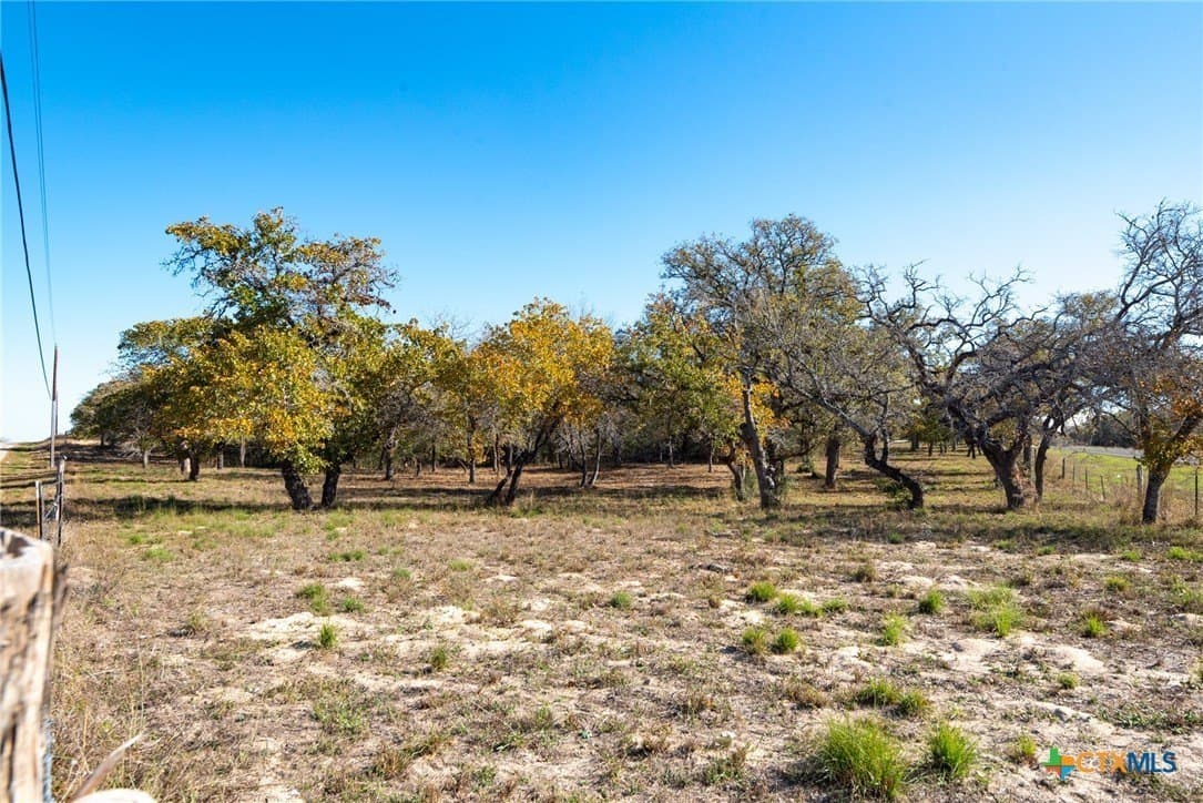 12.67 acres in Guadalupe County - photo 24