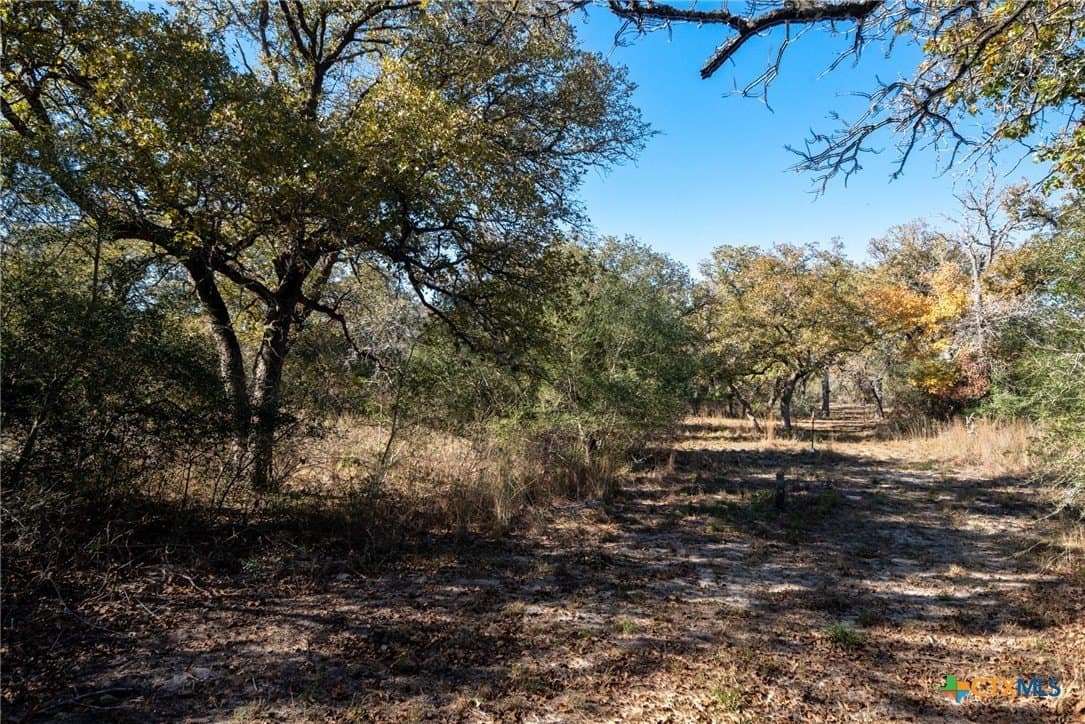 12.67 acres in Guadalupe County - photo 2