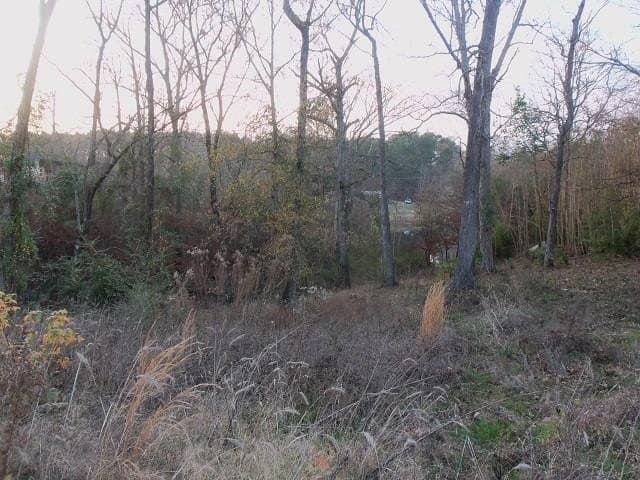 0.86 acres in Rusk County - photo 2