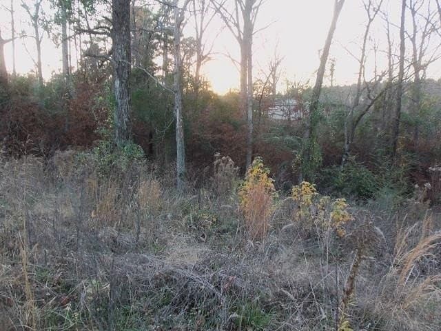 0.86 acres in Rusk County - photo 3