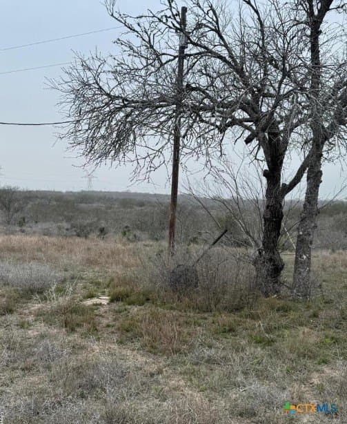 56.35 acres in Karnes County - photo 6