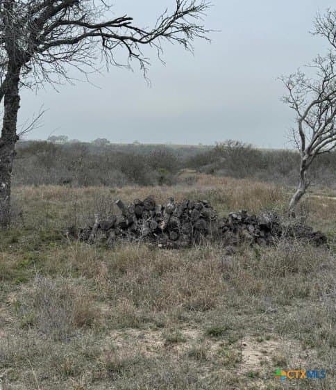 56.35 acres in Karnes County - photo 5