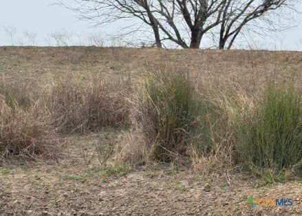 56.35 acres in Karnes County - photo 11