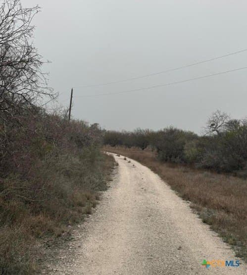 56.35 acres in Karnes County - photo 4