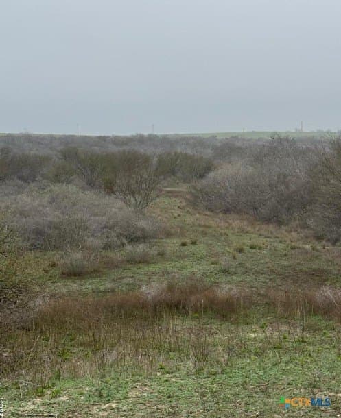 56.35 acres in Karnes County - photo 3