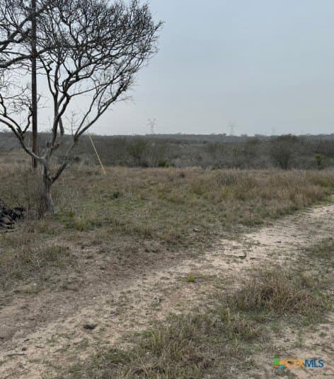 56.35 acres in Karnes County - photo 8