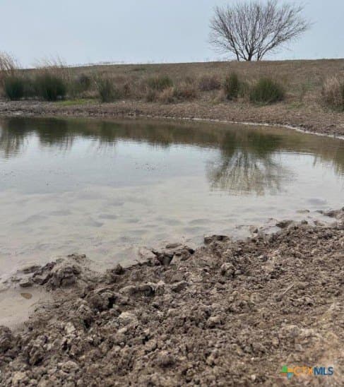 56.35 acres in Karnes County - photo 2